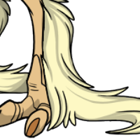 Long Leg Feathers male mutation of Struthio