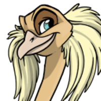 Thick Cheek Feathers male mutation of Struthio