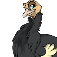 Thick Neck Feathers male mutation of Struthio