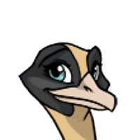 Bicolor Head female mutation of Struthio