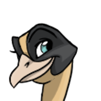 Bicolor Head male mutation of Struthio