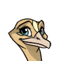 Blaze Head female mutation of Struthio