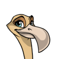 Bent Beak female mutation of Struthio