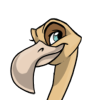 Bent Beak male mutation of Struthio