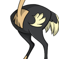 Moa Body male mutation of Struthio