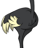 Solid Body female mutation of Struthio