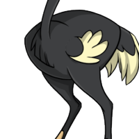 Solid Body male mutation of Struthio