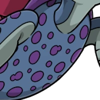 Spotty Plastron female mutation of Testa