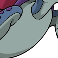 Solid Plastron female mutation of Testa