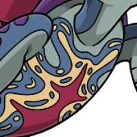 Painted Plastron female mutation of Testa