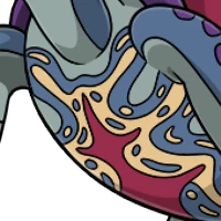 Painted Plastron male mutation of Testa