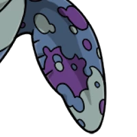 Dapple Fore Flippers female mutation of Testa