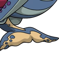 Whale Tail female mutation of Testa