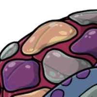 Sea Glass Back female mutation of undefined