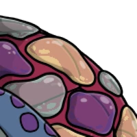 Sea Glass Back male mutation of undefined